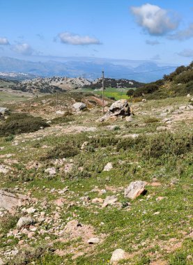 Meadows in Ronda in the south of Spain in the springtime
