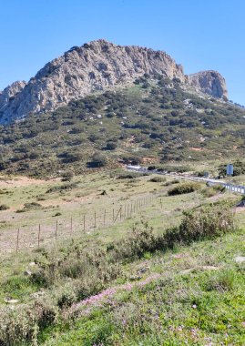 Meadows in Ronda in the south of Spain in the springtime