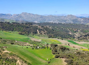 Meadows in Ronda in the south of Spain in the springtime