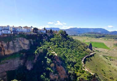 Meadows in Ronda in the south of Spain in the springtime