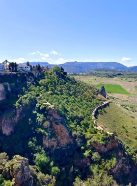 Meadows in Ronda in the south of Spain in the springtime