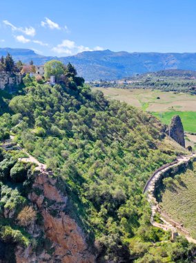 Meadows in Ronda in the south of Spain in the springtime
