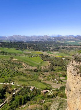 Meadows in Ronda in the south of Spain in the springtime