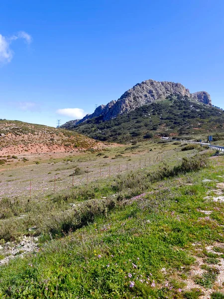 Meadows Ronda South Spain Springtime — Stockfoto