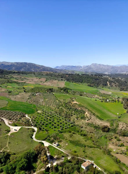 Meadows Ronda South Spain Springtime — Stockfoto