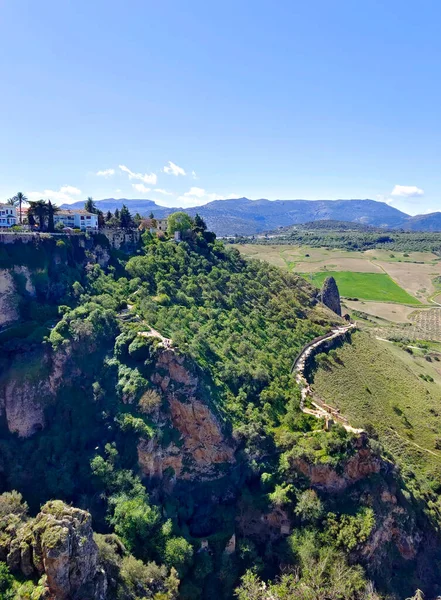 Meadows Ronda South Spain Springtime — 图库照片