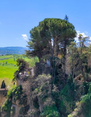 Mountains in Ronda in the south of Spain in the springtime