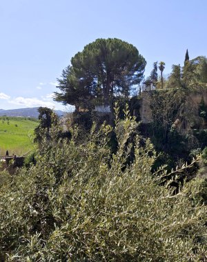 Mountains in Ronda in the south of Spain in the springtime