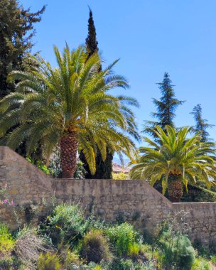 Mountains in Ronda in the south of Spain in the springtime