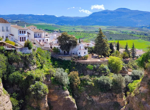 Houses in Ronda in the south of Spain in a sunny day. It a town in the top of the mountains