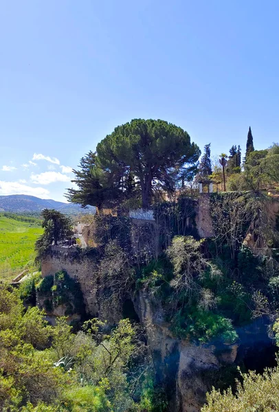 Mountains Ronda South Spain Springtime — Stock fotografie