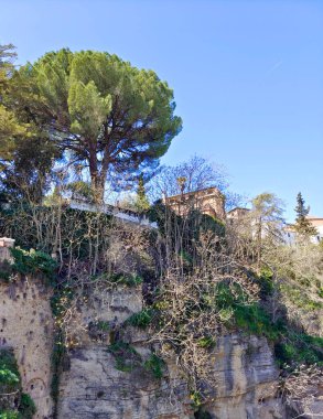 Mountains in Ronda in the south of Spain in the springtime