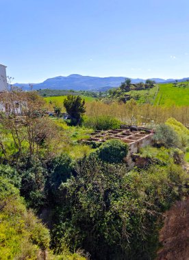 Mountains in Ronda in the south of Spain in the springtime