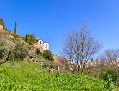 Houses in Ronda in the south of Spain in a sunny day. It a town in the top of the mountains