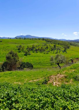 Mountains in Ronda in the south of Spain in the springtime