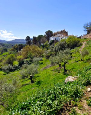Meadows in Ronda in the south of Spain in the springtime