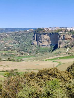 Meadows in Ronda in the south of Spain in the springtime