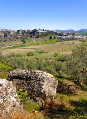 Meadows in Ronda in the south of Spain in the springtime