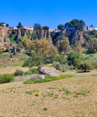 Meadows in Ronda in the south of Spain in the springtime