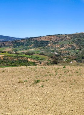Meadows in Ronda in the south of Spain in the springtime