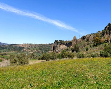 Meadows in Ronda in the south of Spain in the springtime
