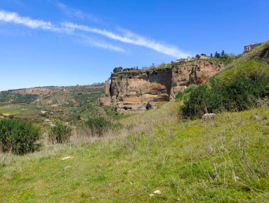 Meadows in Ronda in the south of Spain in the springtime
