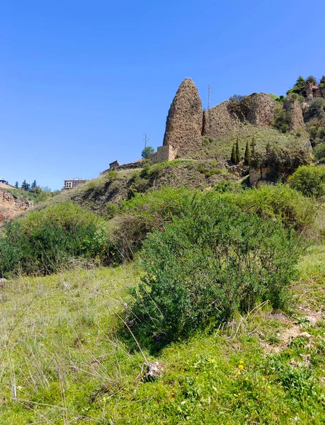 Луга Ронде Юге Испании Весной — стоковое фото