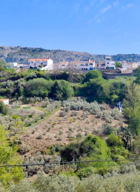 Mountains in Ronda in the south of Spain in the springtime