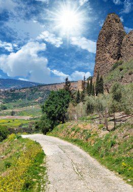 Meadows in Ronda in the south of Spain in the springtime