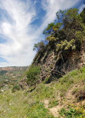 Meadows in Ronda in the south of Spain in the springtime