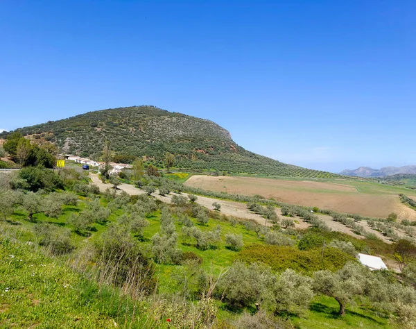 Mountains Ronda South Spain Springtime — Stockfoto