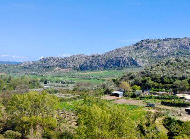Meadows in Ronda in the south of Spain in the springtime
