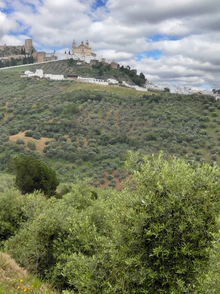 Λιβάδια Στη Ρόντα Στη Νότια Ισπανία Την Άνοιξη — Φωτογραφία Αρχείου