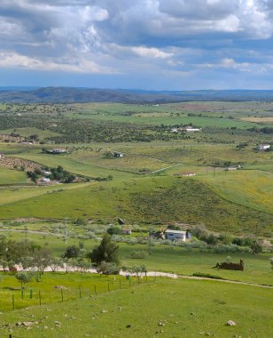 Güneşli bir günde İspanya 'nın güneyinde Extremadura' nın çayırları