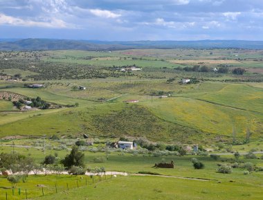 Güneşli bir günde İspanya 'nın güneyinde Extremadura' nın çayırları
