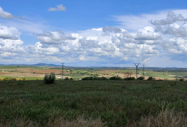 Les Prairies Estrémadure Dans Sud Espagne Par Une Journée Ensoleillée — Photo