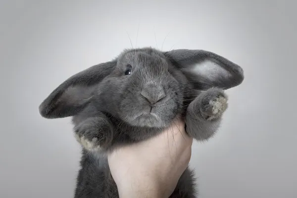 Sıkıysa yakala beni