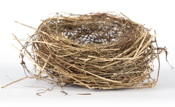 Bird's nest — Stock Photo, Image