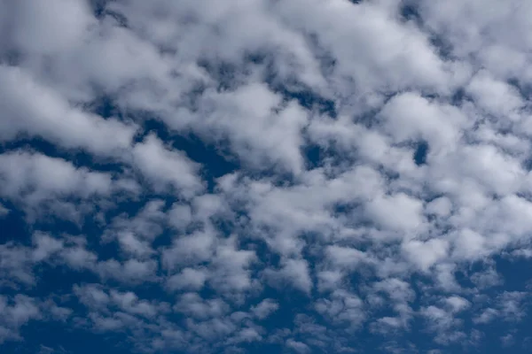 Пушистые Белые Альтокумулятивные Облака Летний День Голубым Небом Стоковое Изображение