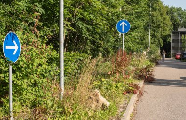 Otoparkta mavi işaretli beyaz oklar.