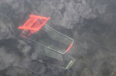 Şehir parkındaki bir gölette suyun altında metal bir alışveriş arabası.