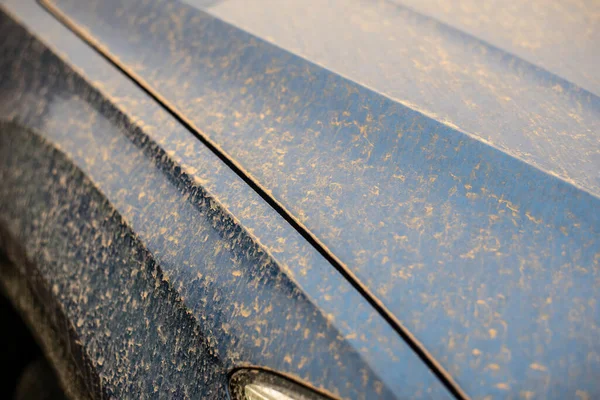 a blue car in Germany covered with dust transported by wind of the sahara