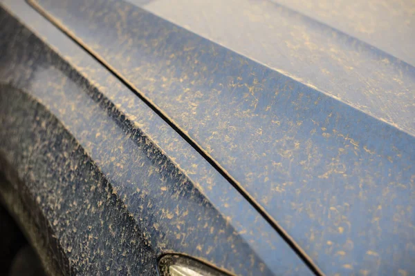 Голубой Автомобиль Германии Покрытый Пылью Перевозимой Ветром Сахары Стоковое Фото