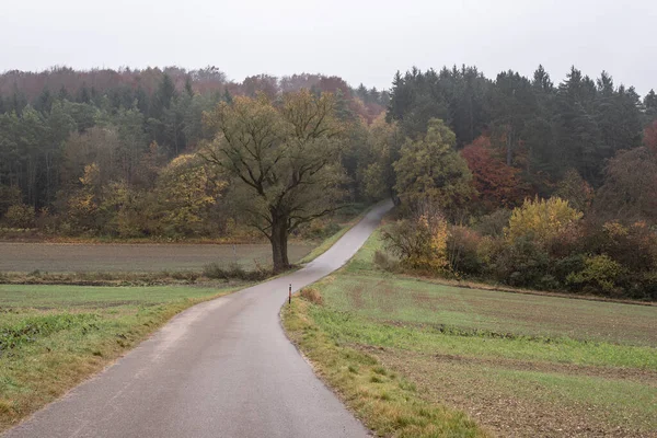 Eine Kurvenreiche Asphaltstraße Einem Regentag Herbst Einer Ländlichen Landschaft — Stockfoto