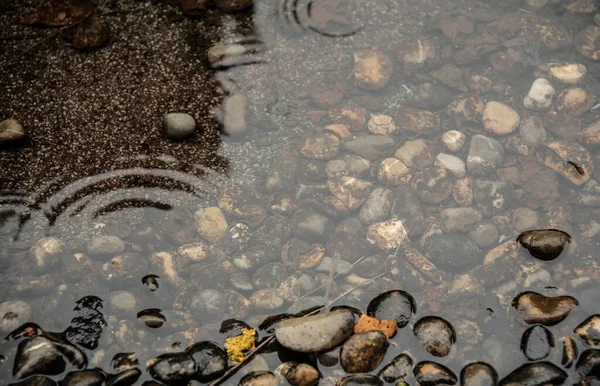 Rain Drops Forming Concentric Rings Puddle Filled Pebble Stones — ストック写真