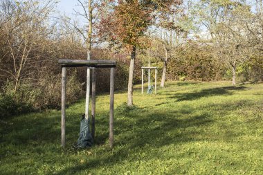 tree seedlings on a meadow with plastic sacks on the roots and wooden slats for supporting their growth