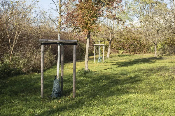 Köklerinde plastik çuvallar ve büyümelerini desteklemek için tahta çıtalar olan bir çayırdaki ağaç fidanları.