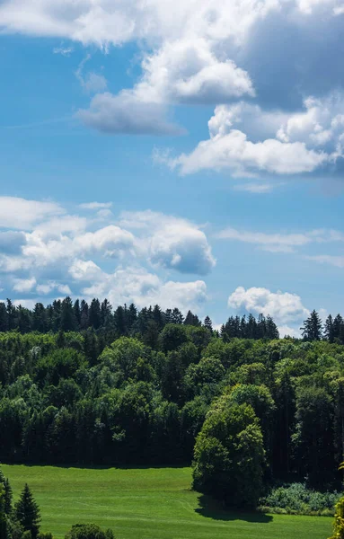 Krajina Švábské Albě Slunečného Letního Dne Bujnou Loukou Zalesněném Kopci — Stock fotografie