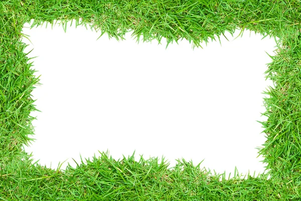 Grass frame picture — Stock Photo, Image