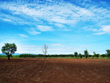 bulutlu gökyüzü hasat sonra siyah alanın üzerinde